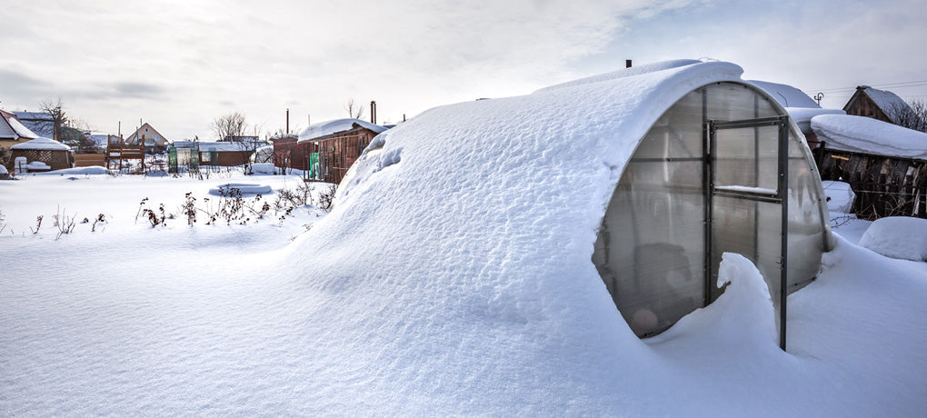 Drivhuset om vinteren
