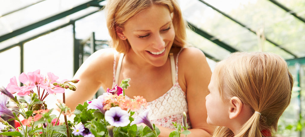 Gjør det selv drivhus eller et profesjonelt enkelt monteringssett