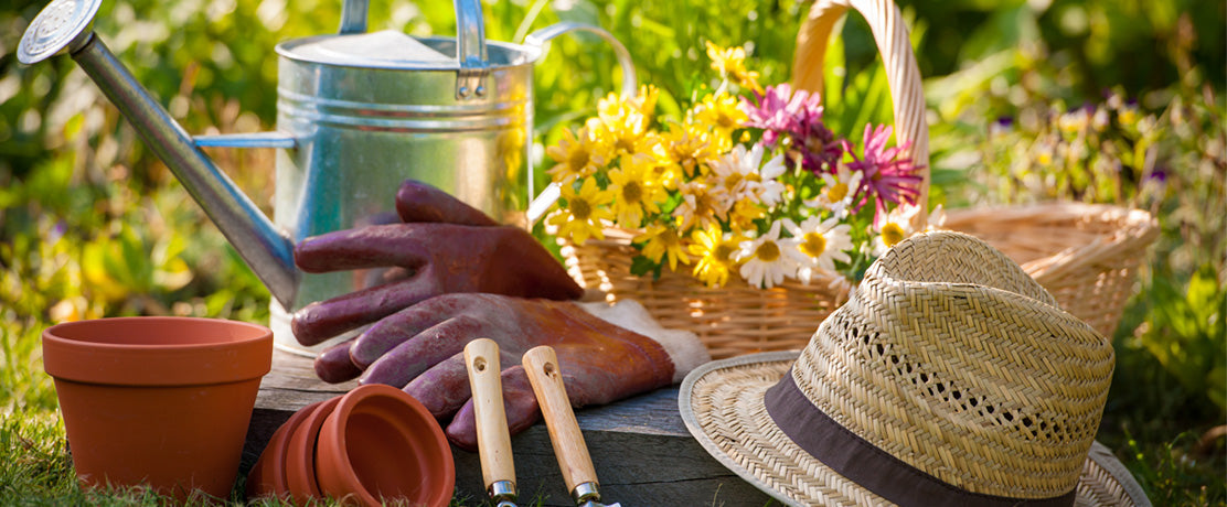 Hvordan du finner den rette plassen til det nye drivhuset