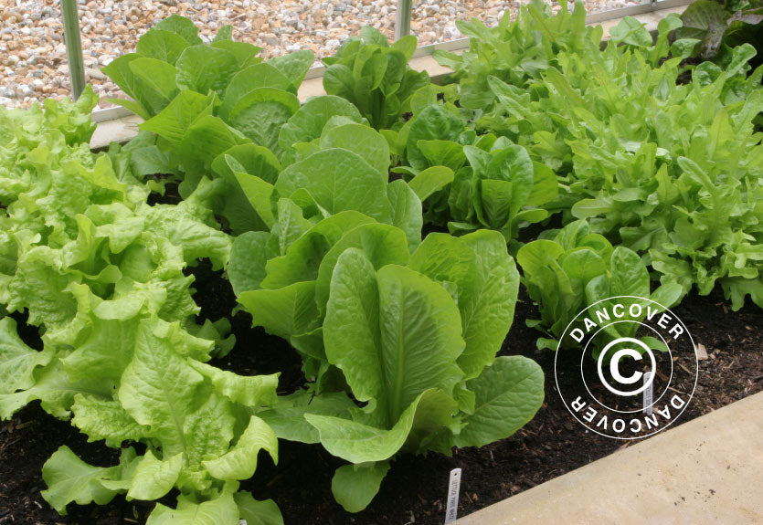 Juliana jord termometer