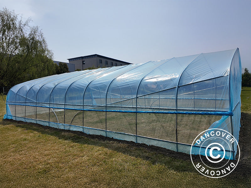 Polytunnel Drivhus, 6x10x2,5m, 100-mikron PO-film, Transparent