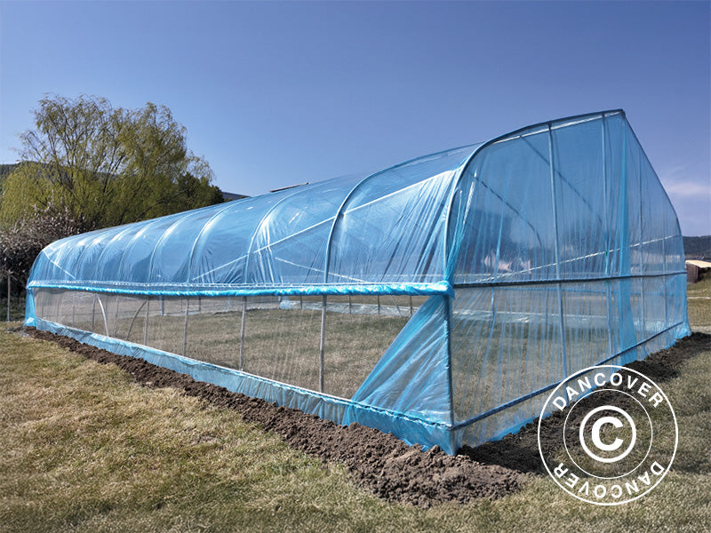 Polytunnel Drivhus, 6x10x2,5m, 100-mikron PO-film, Transparent