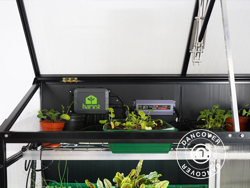 Smart drivhus polykarbonat Sprout S14 4-Season, Harvst, 1,25x0,5x0,9m, Svart