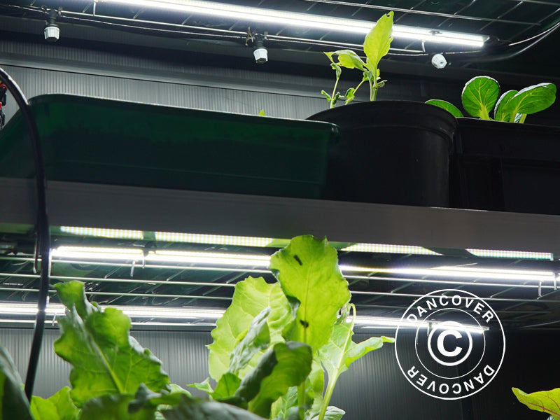 Smart drivhus polykarbonat Sprout S14 4-Season, Harvst, 1,25x0,5x0,9m, Svart