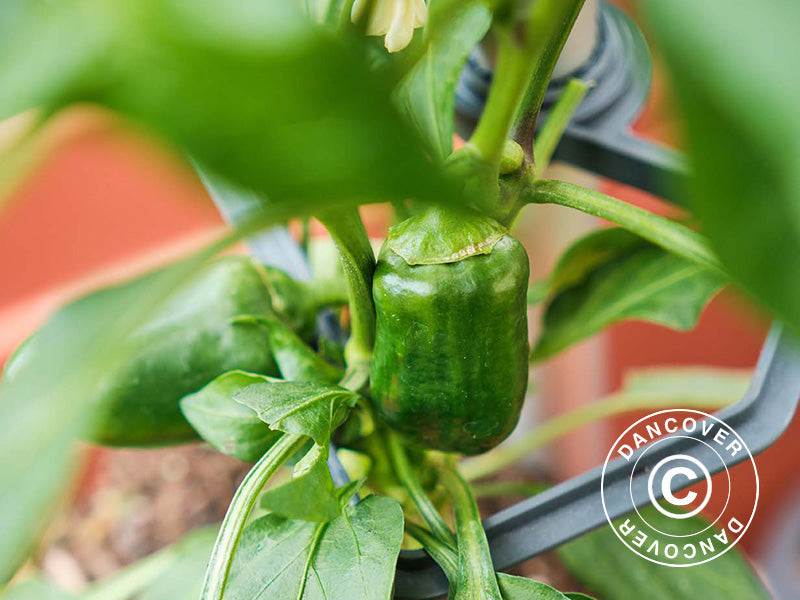 Klatrestøtte, CHILI BUDDY, Antrasitt/Sølv