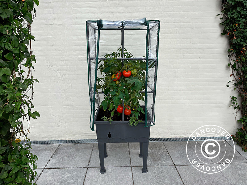 Plantekasse, opphøyd seng m/espalier, 0,6x0,4x1,5m, Grå