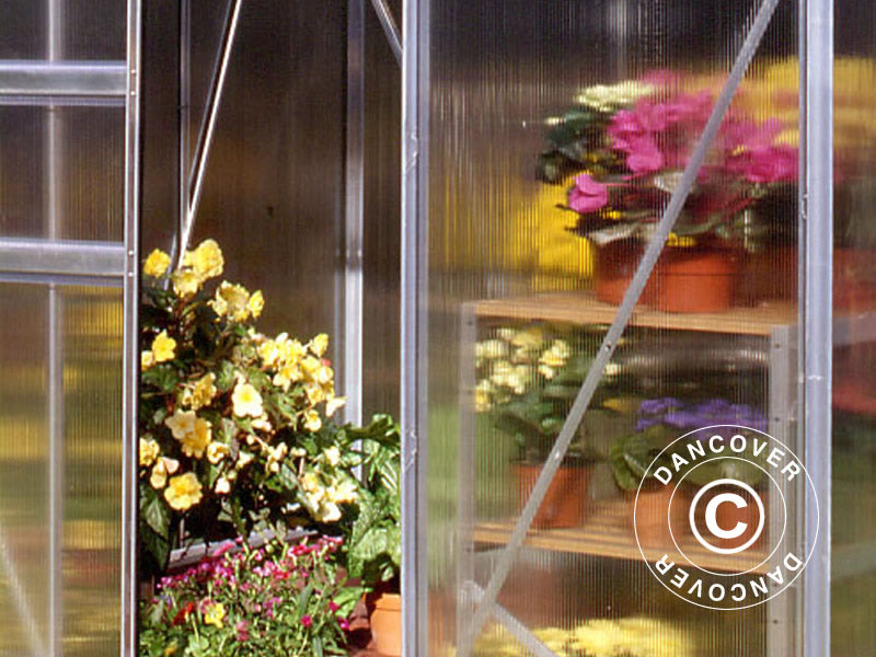 Drivhus Polykarbonat Halls Popular 3,8m², 1,93x1,95x1,95m, Aluminium