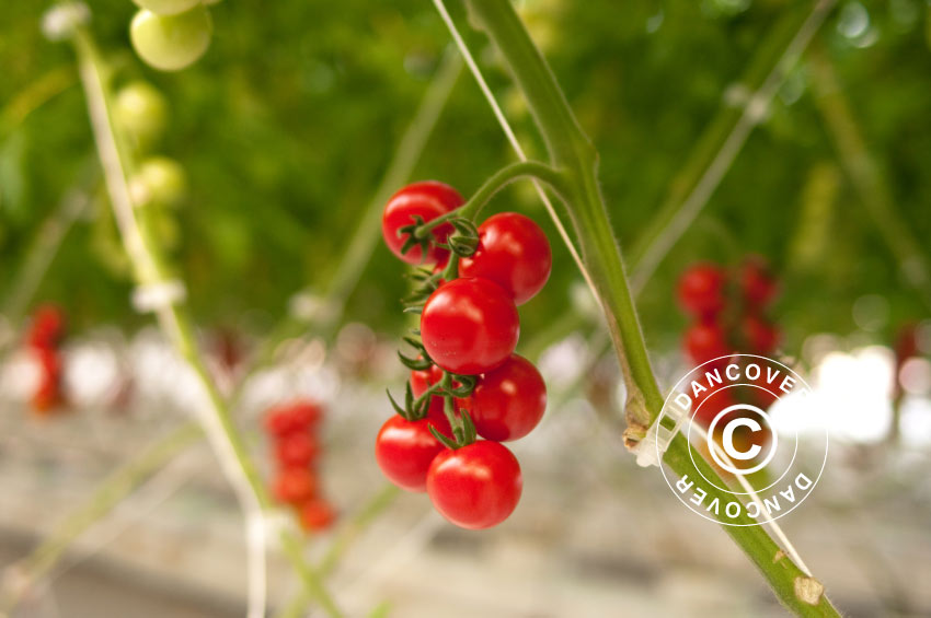 Drivhus Polykarbonat Halls Popular 5m², 1,93x2,57x1,95m, Aluminium