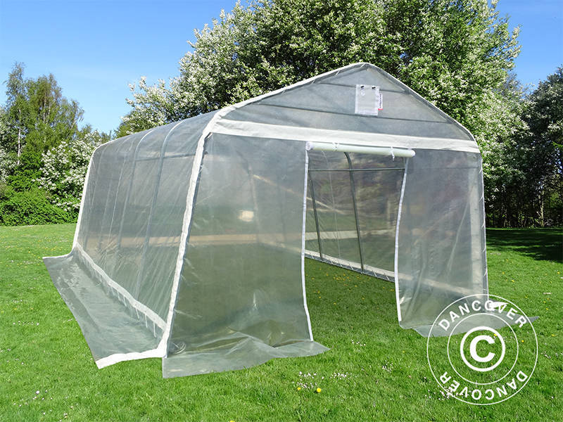 Polytunnel Drivhus, 3,6x8,4x2,68m, PE, 30,24m², Transparent