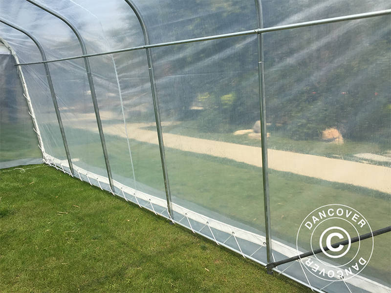 Polytunnel Drivhus, 3,6x8,4x2,68m, PE, 30,24m², Transparent