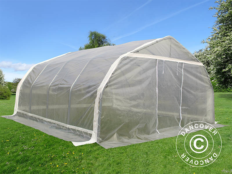 Polytunnel Drivhus, 5,4x6x2,9m, PE, 32,4m², Transparent