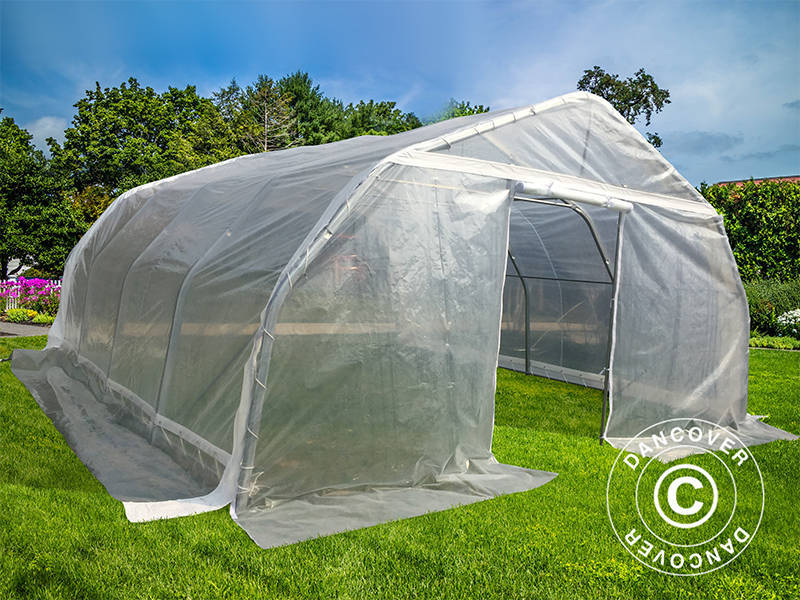 Polytunnel Drivhus, 5,4x6x2,9m, PE, 32,4m², Transparent