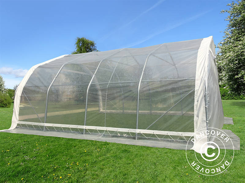 Polytunnel Drivhus, 5,4x6x2,9m, PE, 32,4m², Transparent