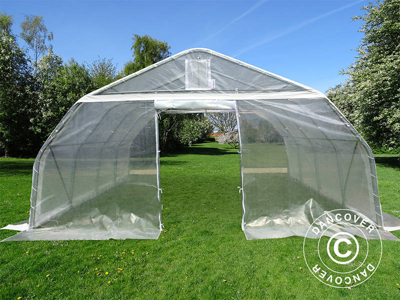 Polytunnel Drivhus, 5,4x6x2,9m, PE, 32,4m², Transparent