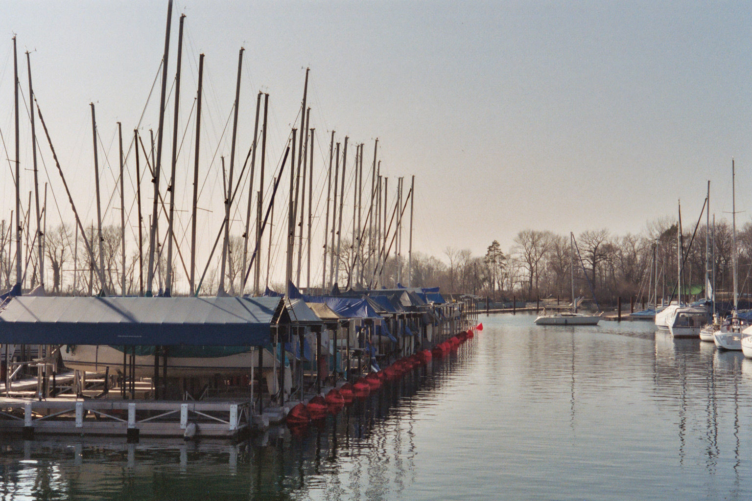 Presenning 5x6m, PVC 570g/m², Blå