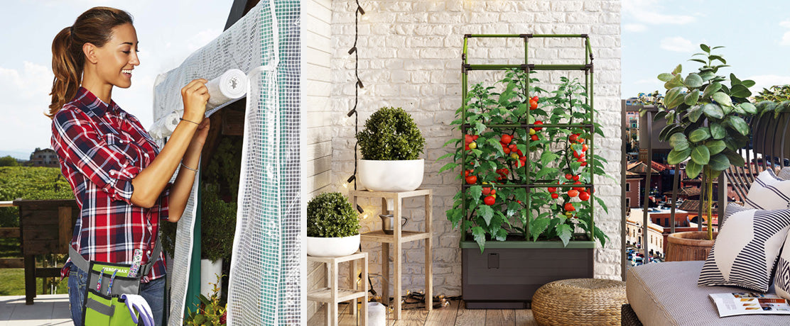 Små drivhus og veggdrivhus