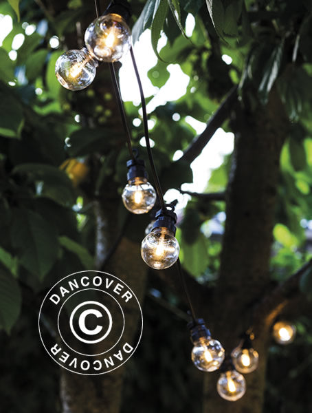 LED Fairy lights Start Set, Lucas, 3 m, Black/Clear/Warm White