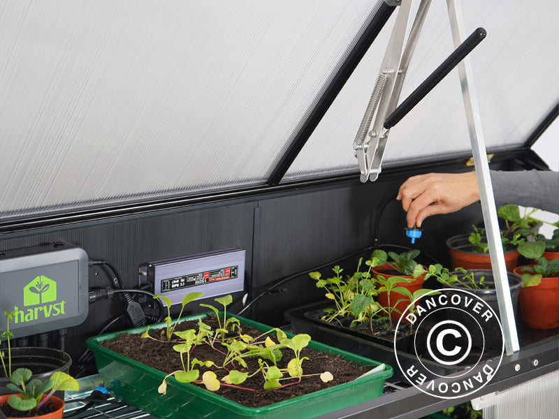 Smart drivhus polykarbonat Sprout S14 4-Season, Harvst, 1,25x0,5x0,9m, Svart