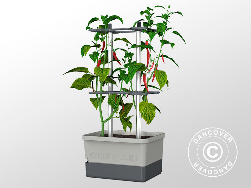 Potte, CHARLY CHILI, m/støtte og vanntank, Lysegrå