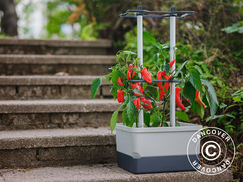 Potte, CHARLY CHILI, m/støtte og vanntank, Lysegrå