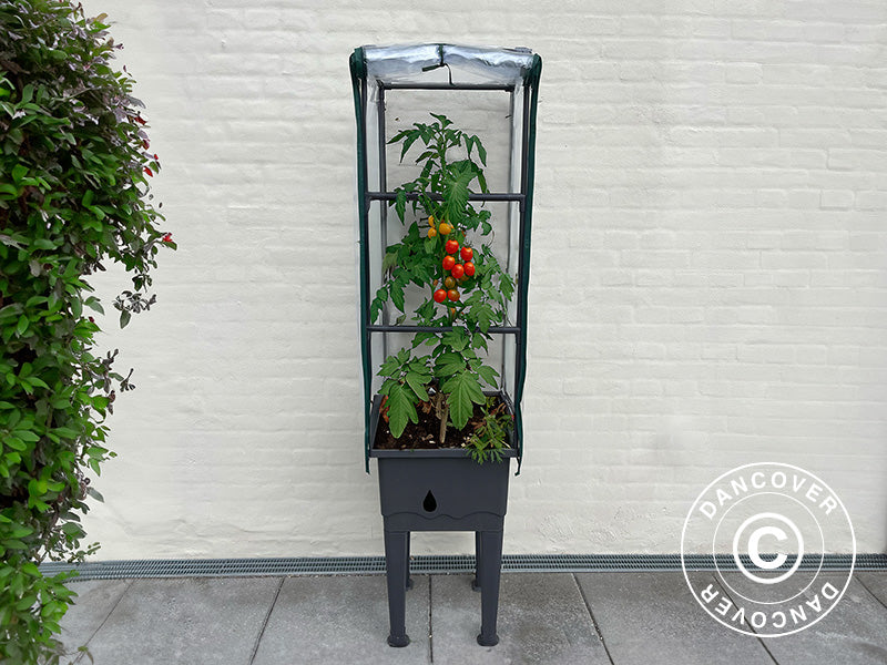 Plantekasse/høybed m/espalier, 0,4x0,4x1,6m, Grå