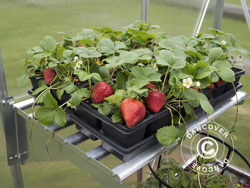 Hylle til drivhus, robust, Palram/Canopia, 58x42x20cm, Sølv