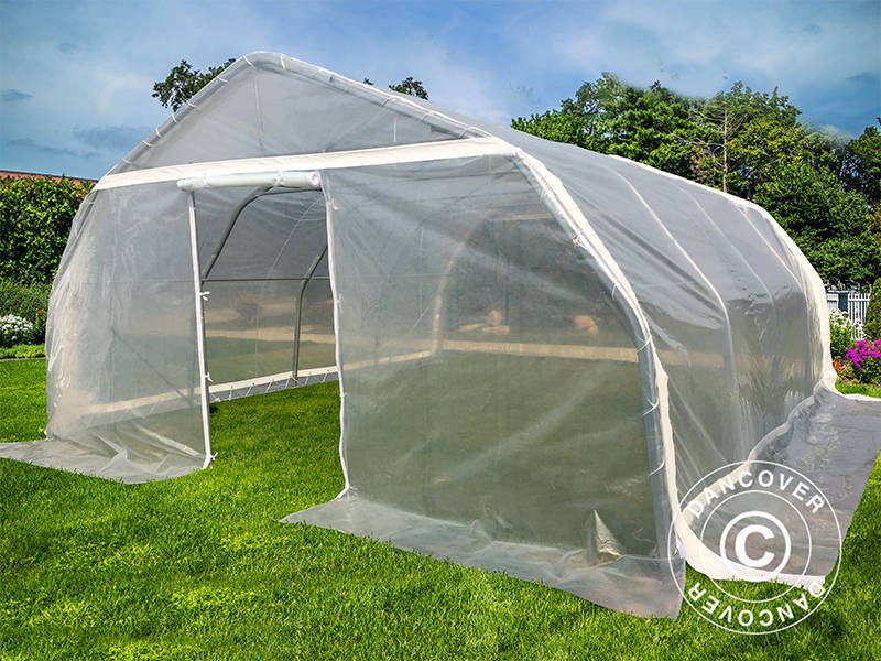 Polytunnel Drivhus, 5,4x6x2,9m, PE, 32,4m², Transparent