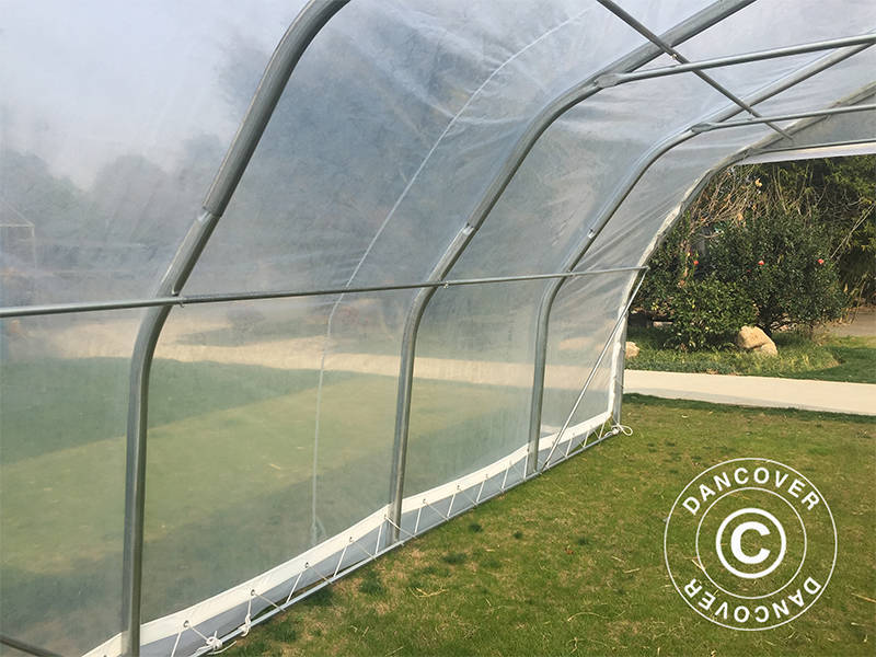 Polytunnel Drivhus, 5,4x6x2,9m, PE, 32,4m², Transparent