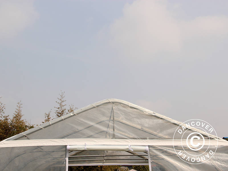 Polytunnel Drivhus, 5,4x6x2,9m, PE, 32,4m², Transparent