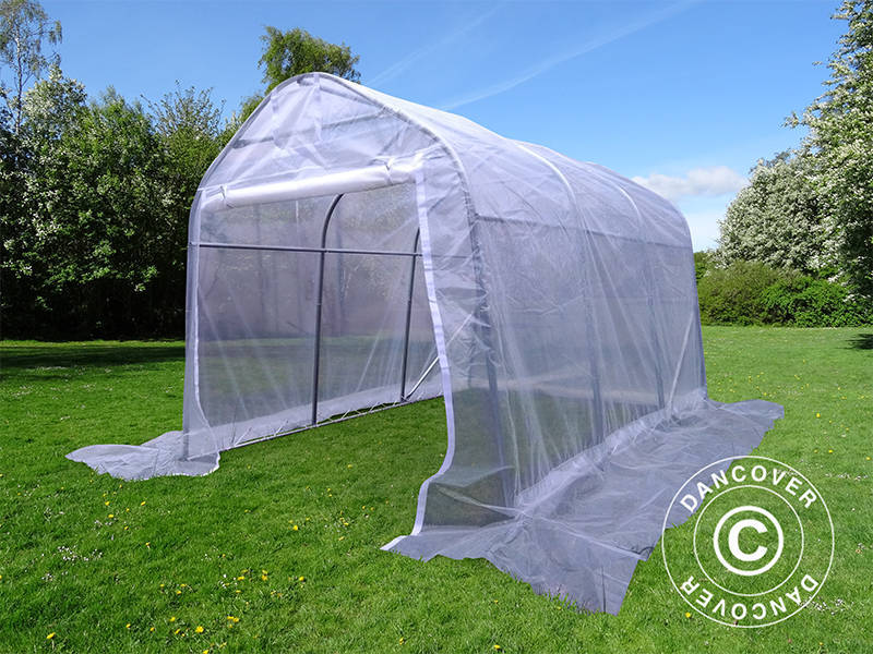 Polytunnel Drivhus, 2x3x2m, PE, 6m², Transparent